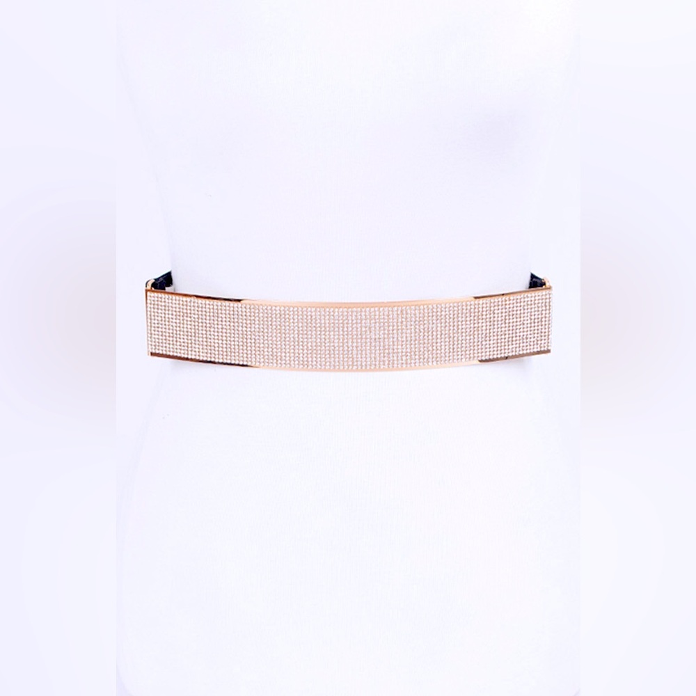Rhinestone Metallic Plaque Elastic Statement Belt - Picture 2 of 7
